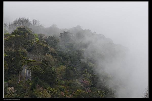 雲霧森林4.jpg