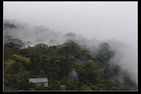 雲霧森林3.jpg