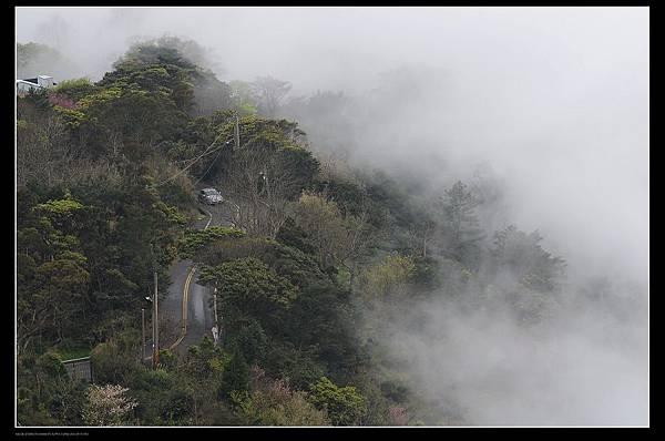 雲霧森林5.jpg