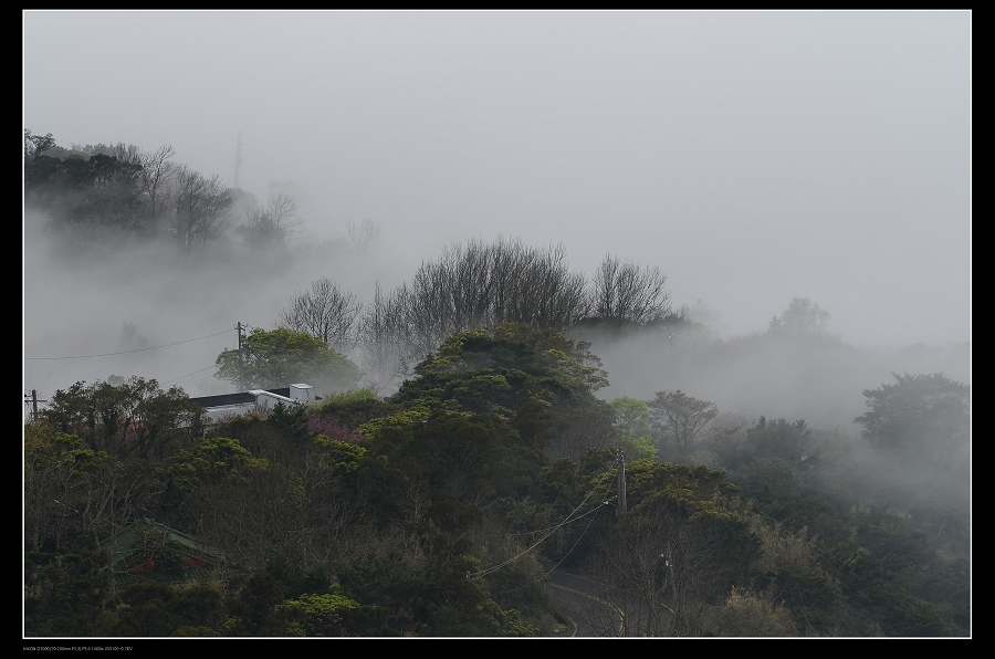 雲霧森林8.jpg