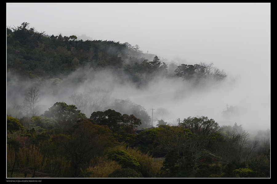 雲霧森林11.jpg