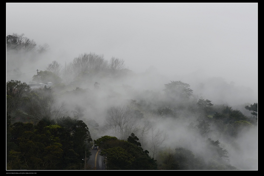 雲霧森林12.jpg