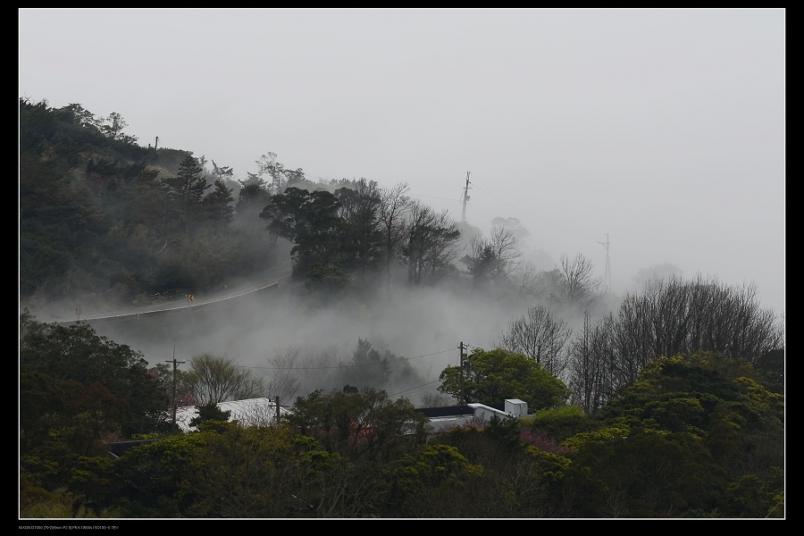 雲霧森林15.jpg