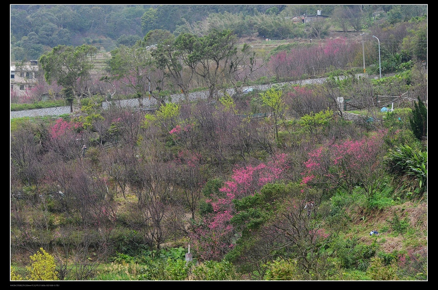 道路.jpg 道路.jpg