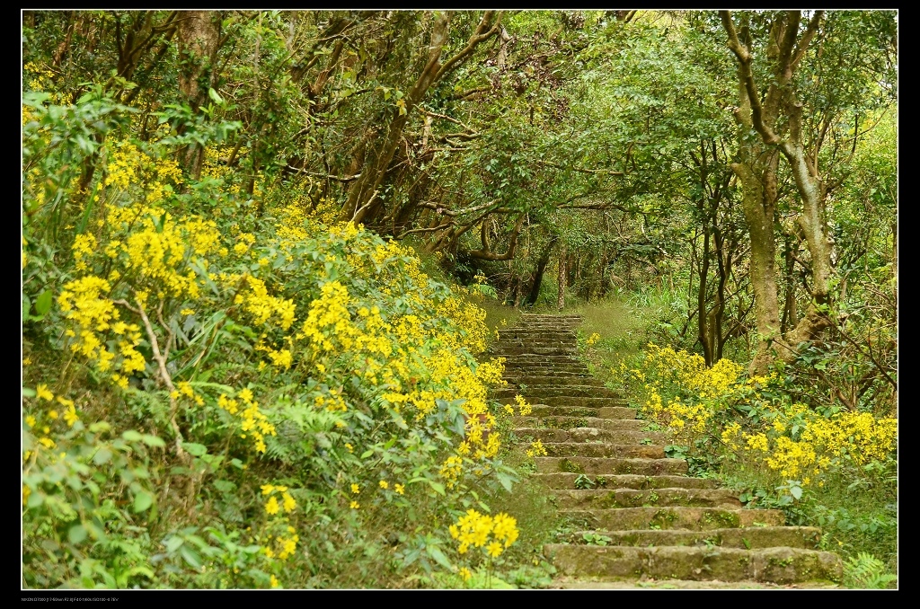 步道10.jpg