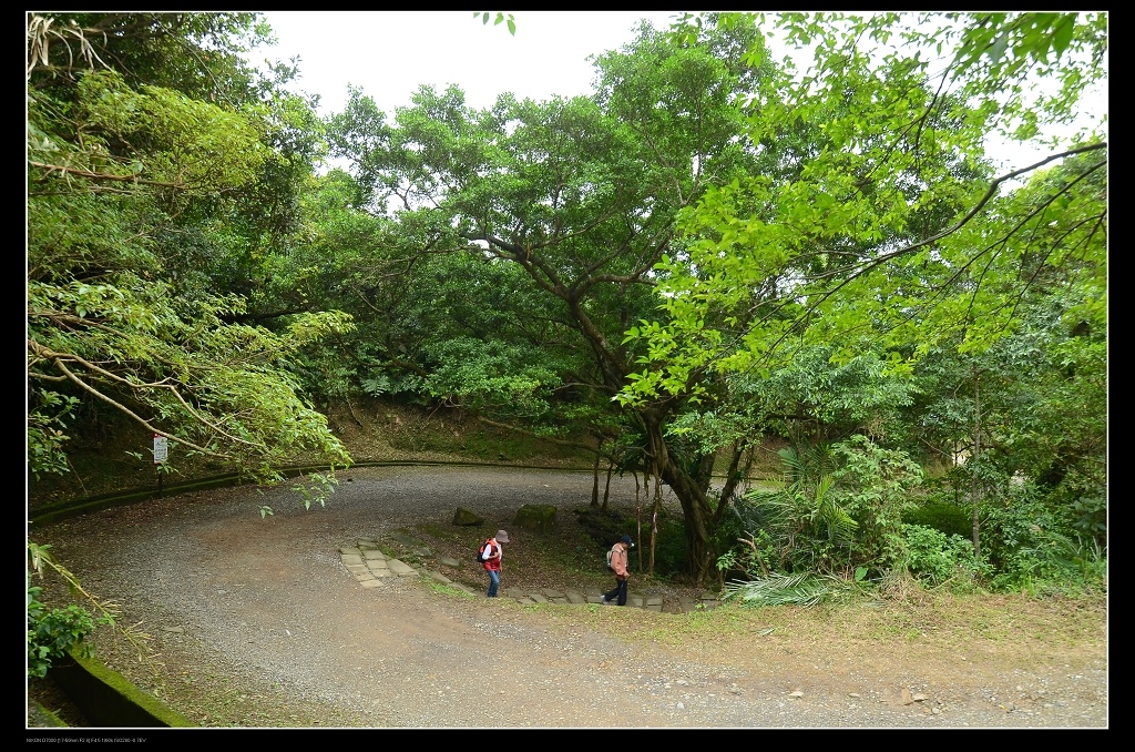 31步道.jpg