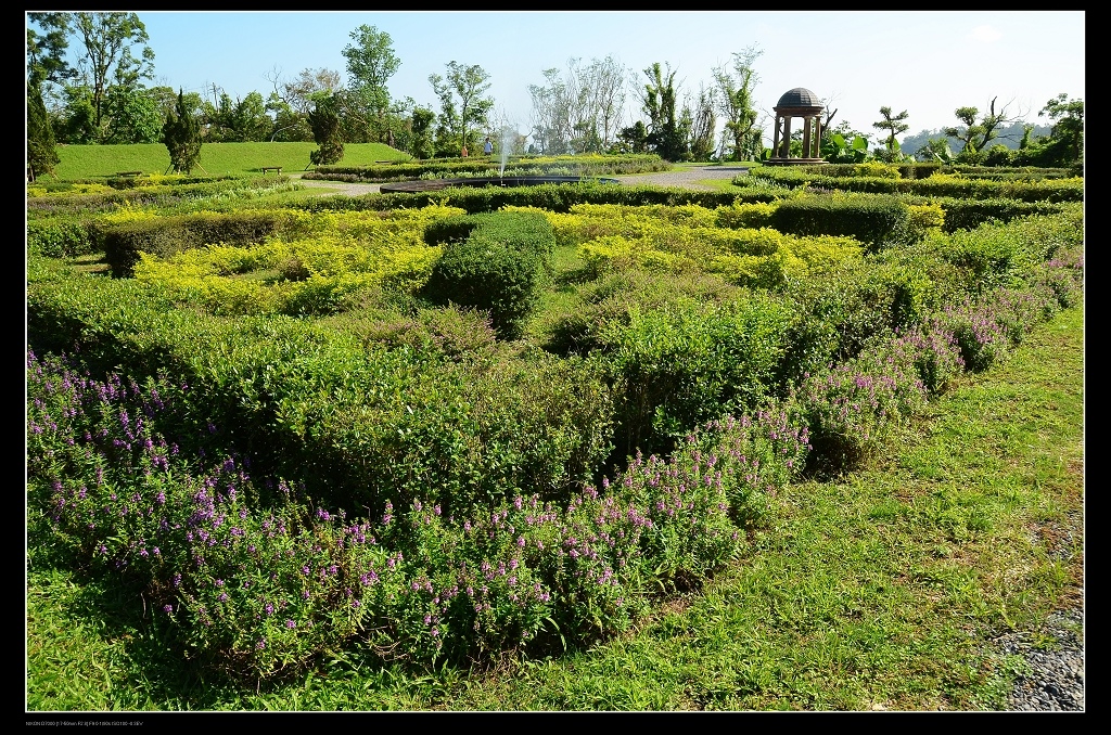 歐式花園花圃.jpg