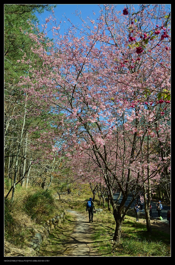 步道.jpg