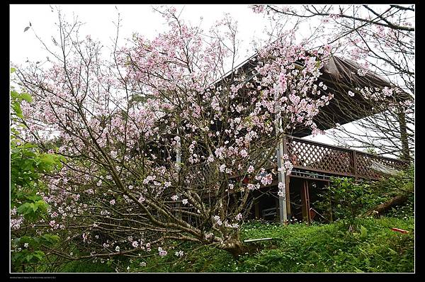 餐廳.jpg