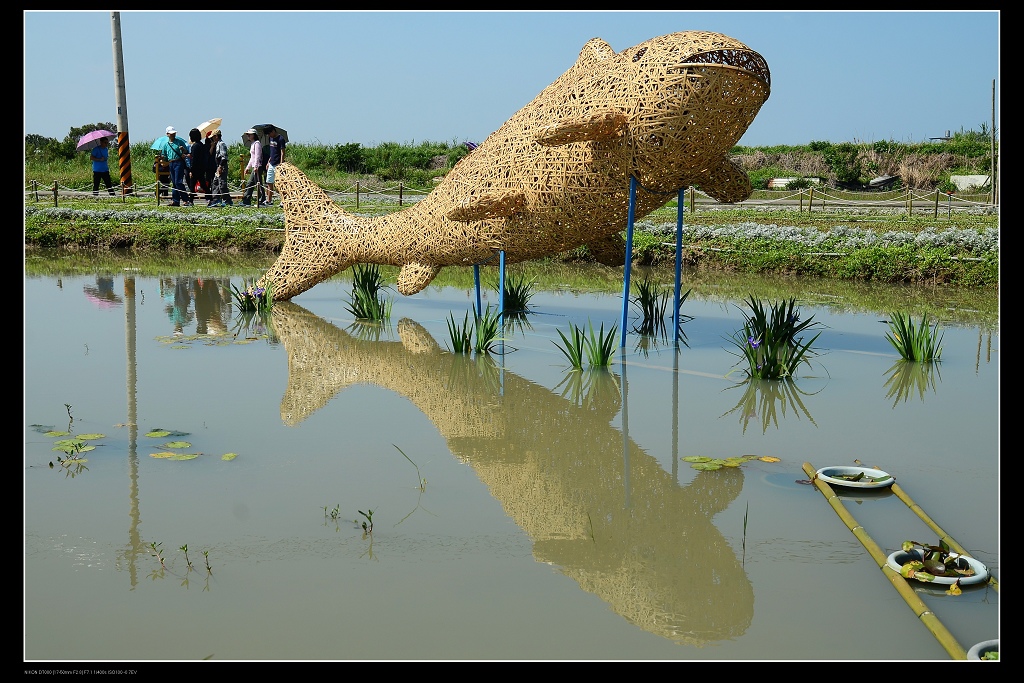 魚迷宮.jpg