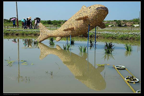 魚迷宮.jpg