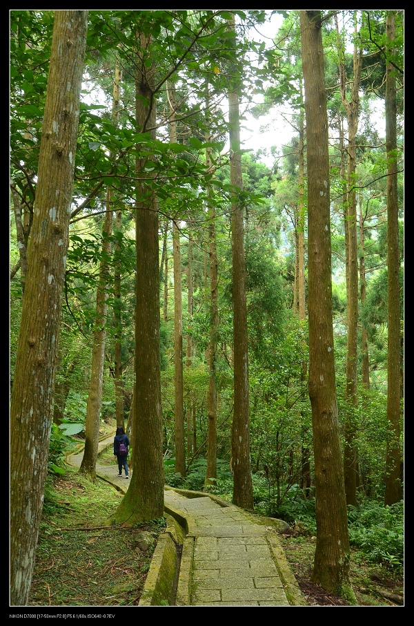 自導步道3.jpg