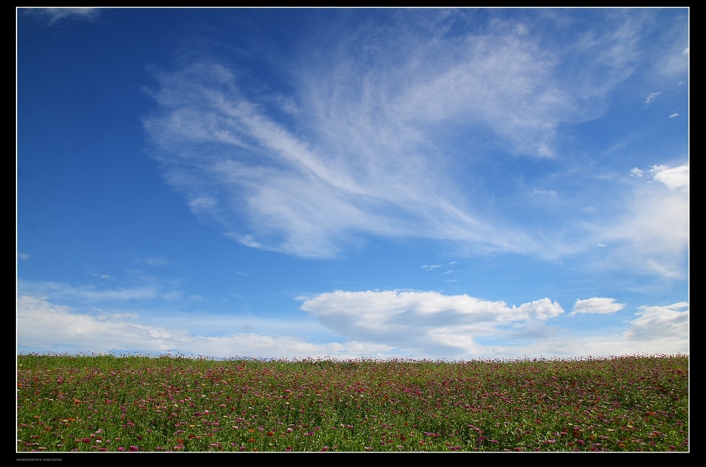 白雲3.jpg