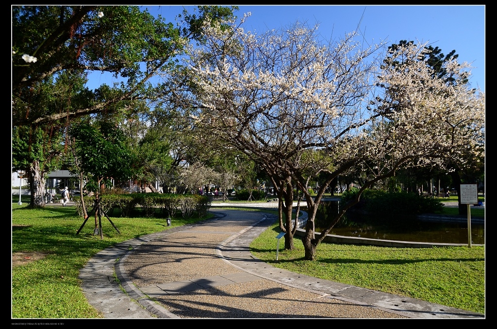 榮星花園.jpg