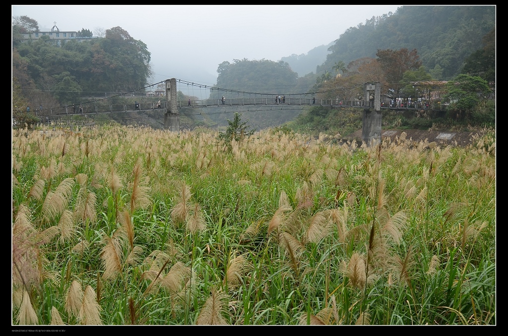 吊橋.jpg