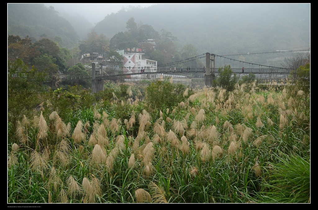 吊橋2.jpg 吊橋2.jpg