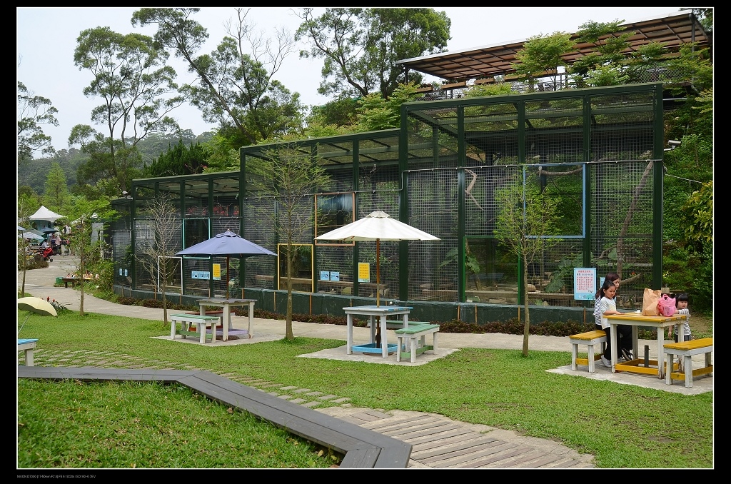 鳥園.jpg 鳥園.jpg