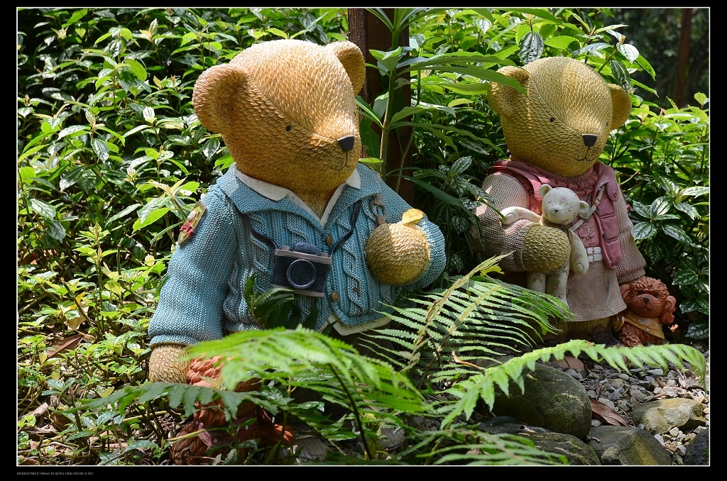 遊客熊.jpg 遊客熊.jpg