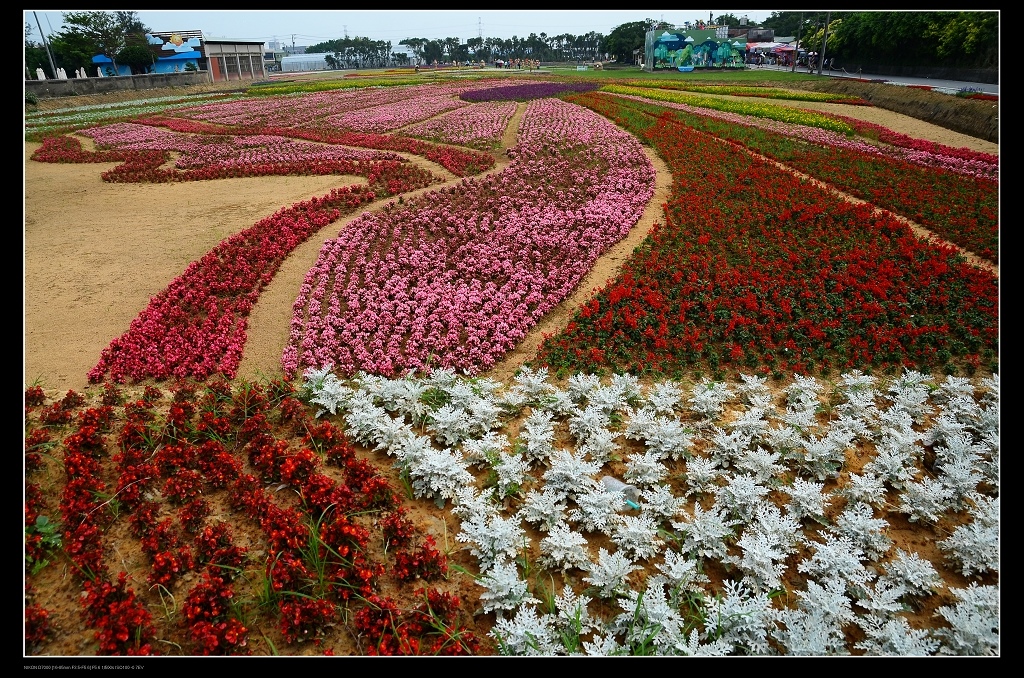 花海1.jpg