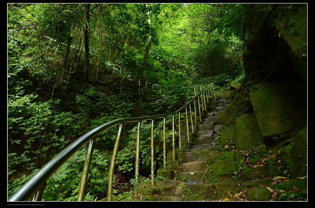 登山步道.jpg