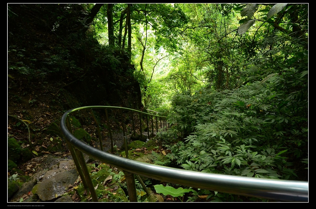 登山步道1.jpg