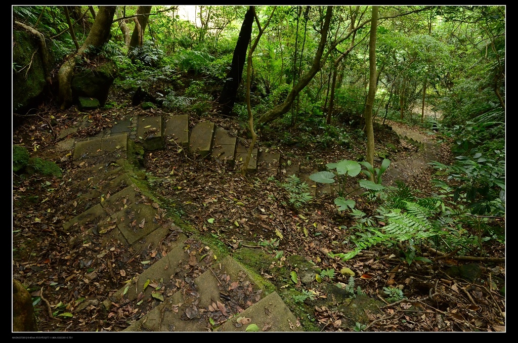 登山步道.jpg