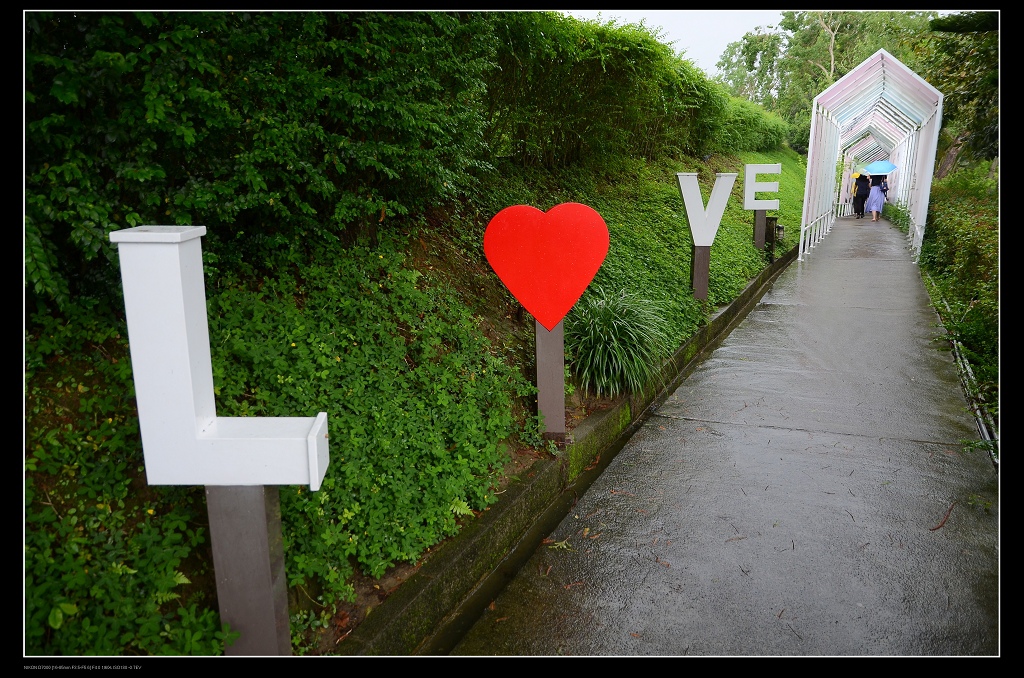 入口步道.jpg 入口步道.jpg