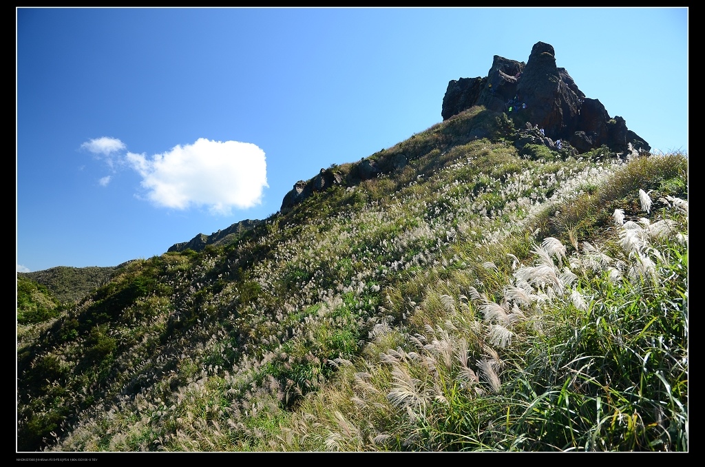 茶壺山頂.jpg