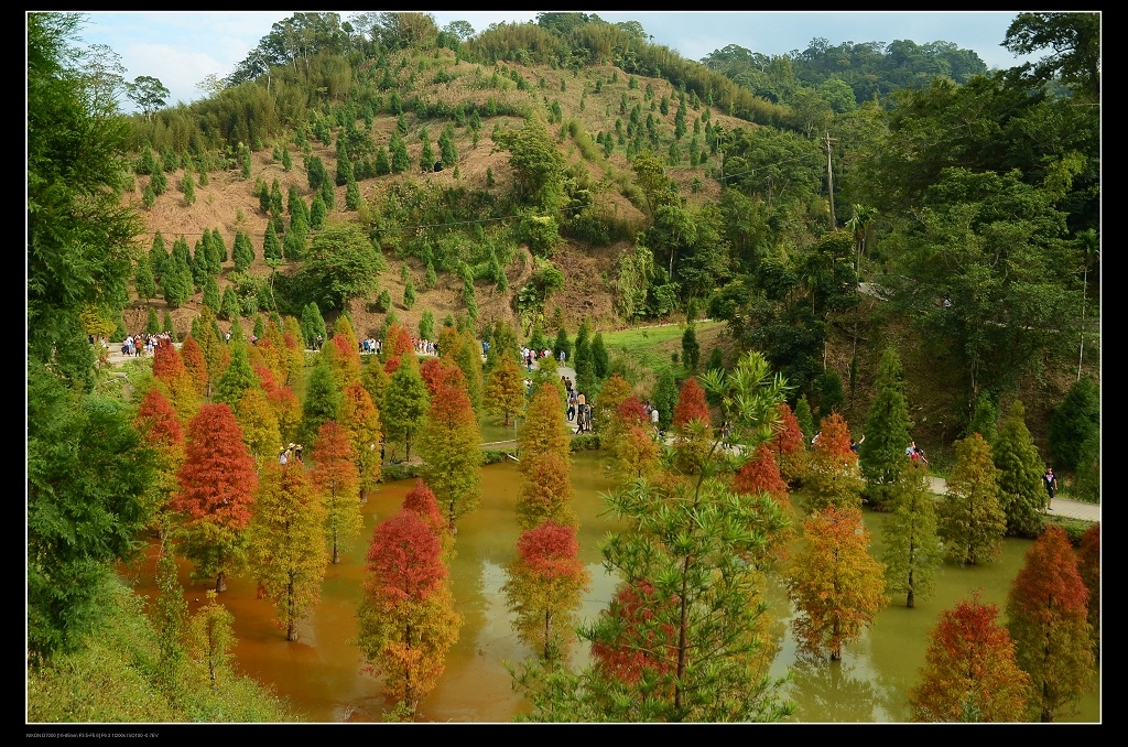 山坡.jpg 山坡.jpg