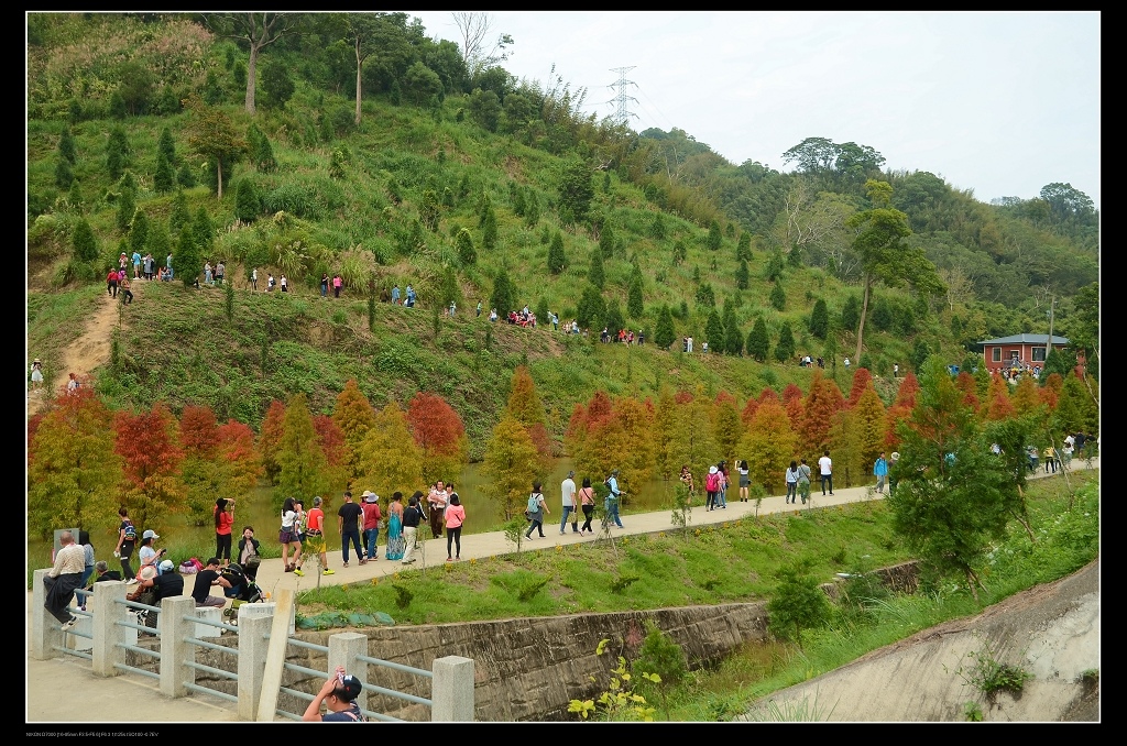 山坡1.jpg 山坡1.jpg