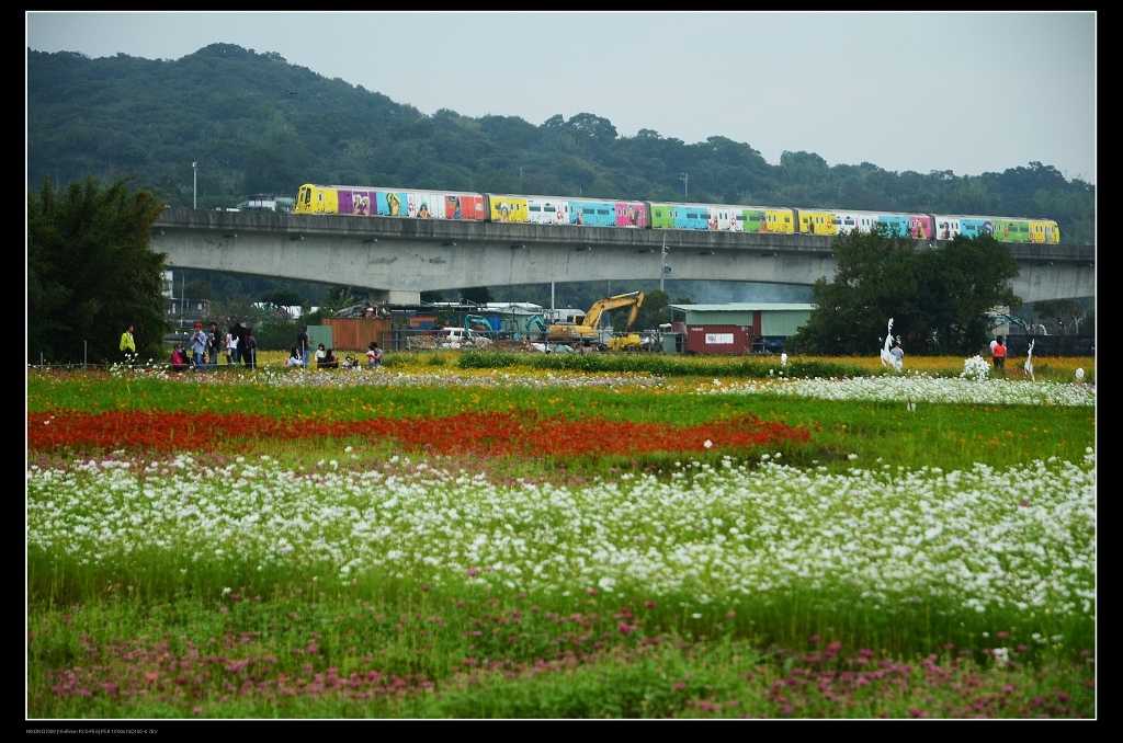 機場捷運1.jpg