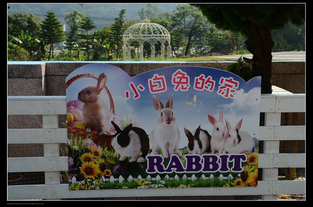 小白兔的家.jpg 小白兔的家.jpg