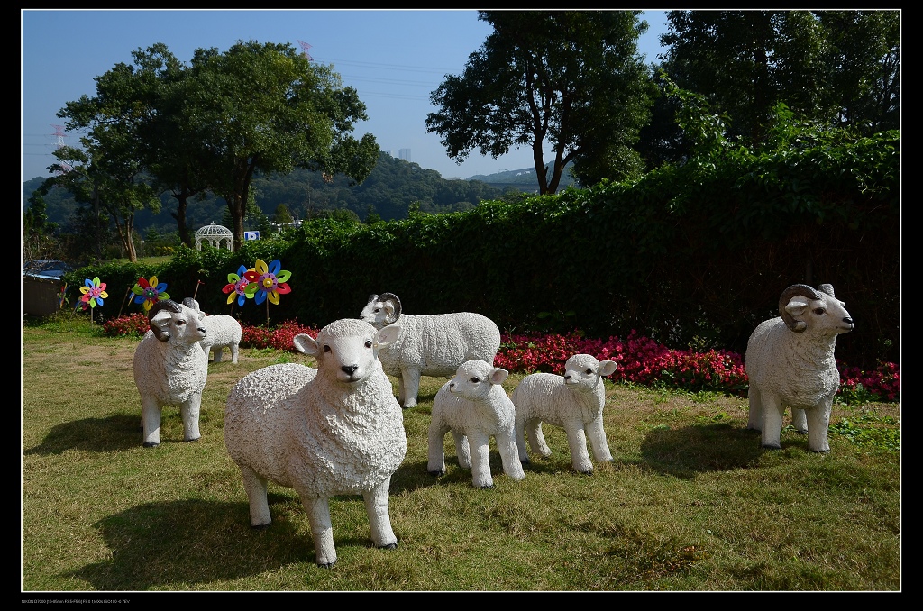 白羊.jpg 白羊.jpg