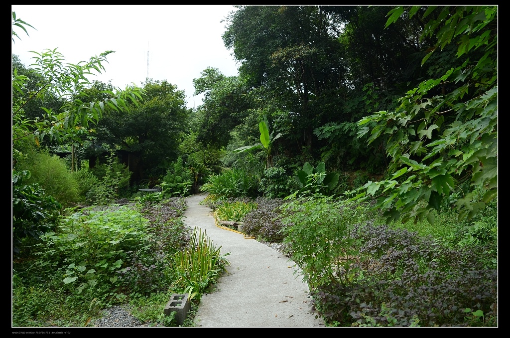 小徑1.jpg 小徑1.jpg