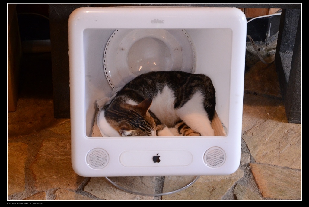 電腦.jpg 電腦.jpg