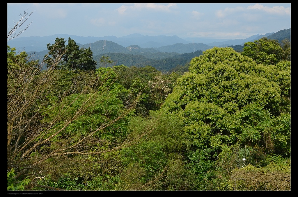 山景.jpg