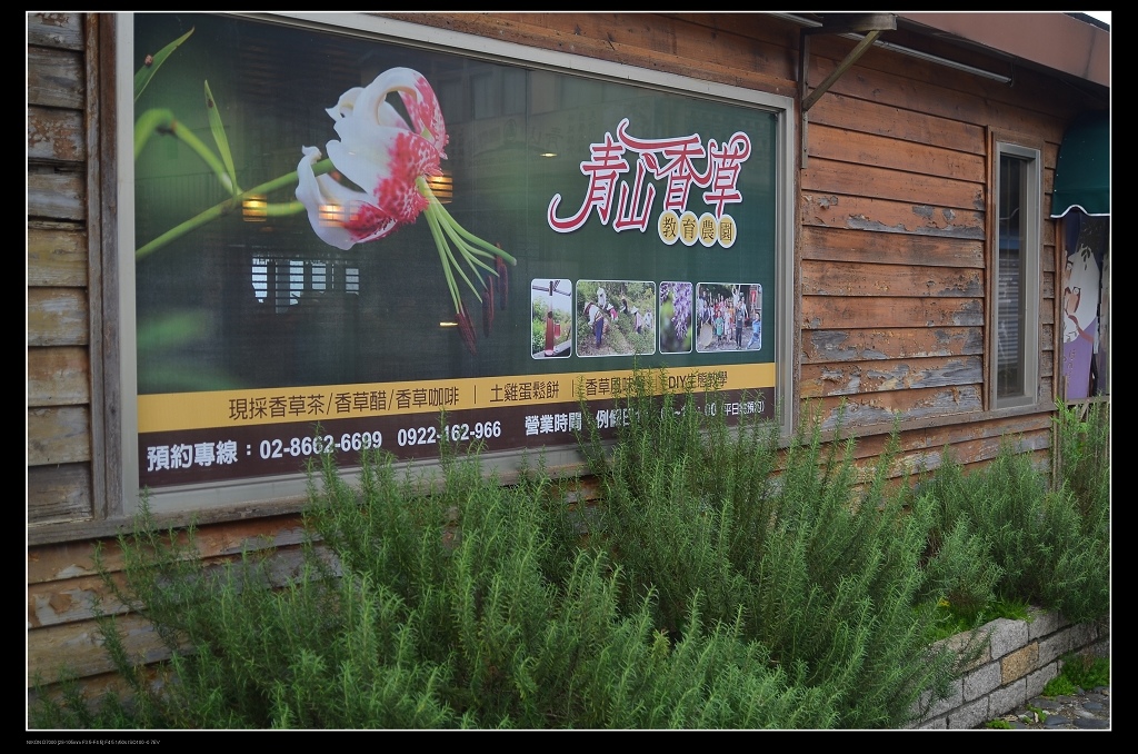 青山香草.jpg 青山香草.jpg