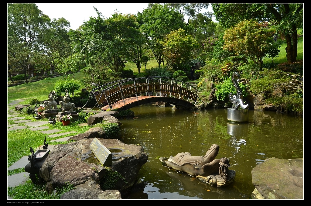 木橋.jpg 木橋.jpg