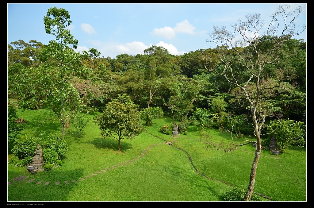 綠草花園.jpg