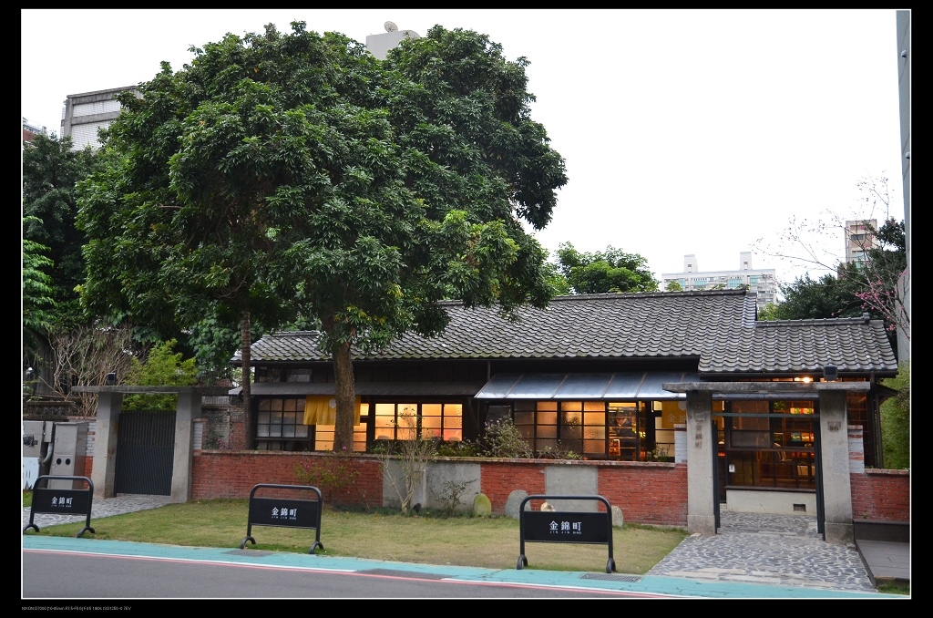 大樹.jpg 大樹.jpg