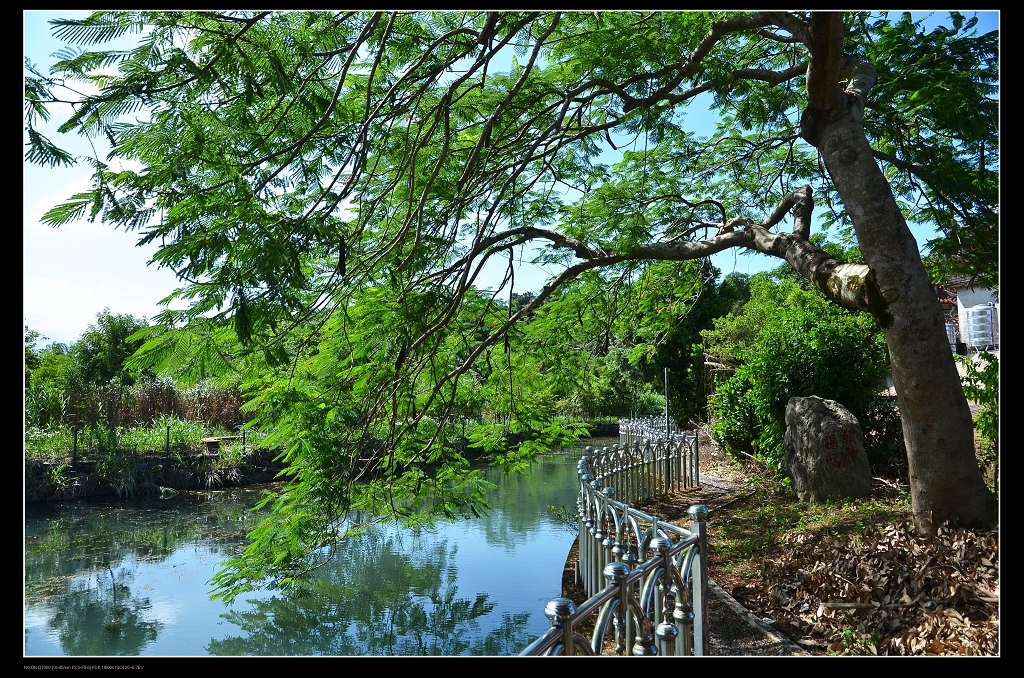 林蔭步道.jpg