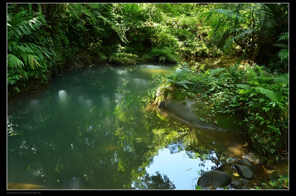 水潭.jpg