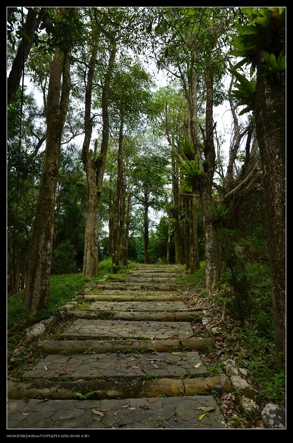 橄欖樹步道.jpg