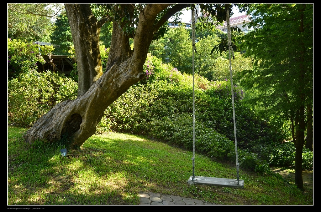 盪鞦韆.jpg 盪鞦韆.jpg