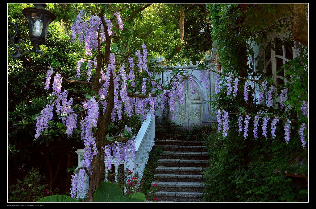 階梯.jpg 階梯.jpg