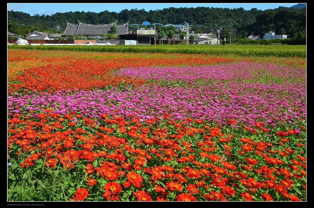 李騰芳古厝1.jpg