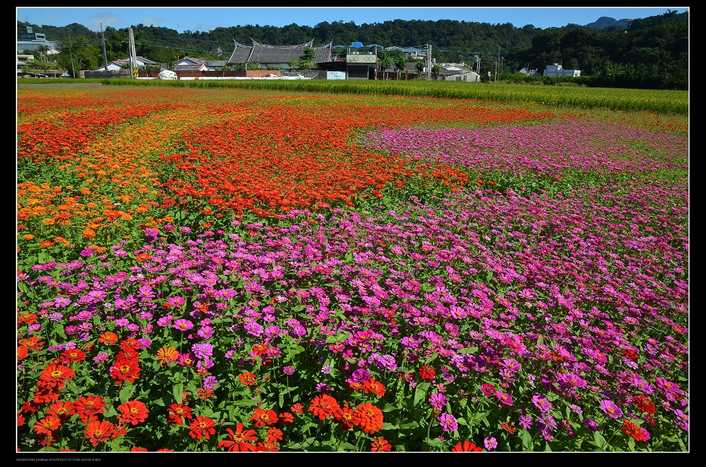 李騰芳古厝2.jpg