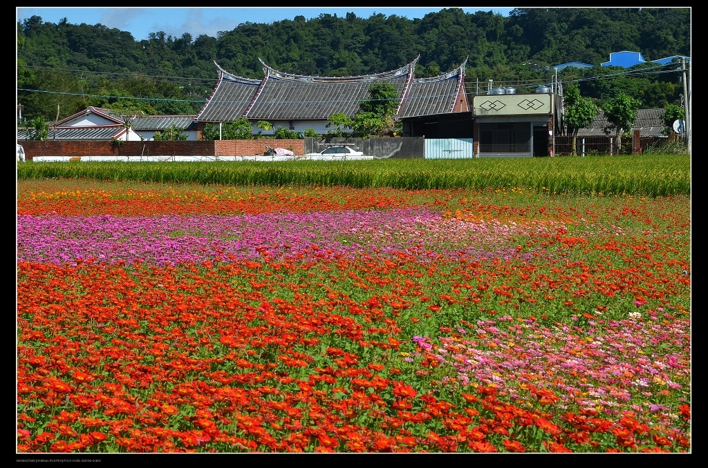 李騰芳古厝.jpg