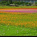 彩虹花海.jpg