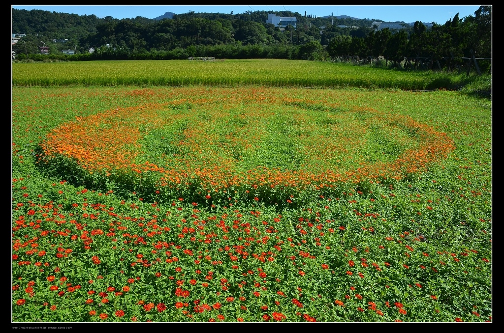 花圈.jpg